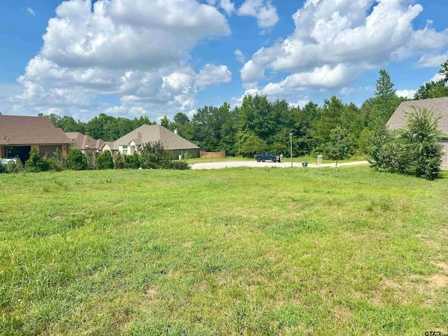 7761 Laurel Springs Ln, Tyler, TX 75703 - photo 2
