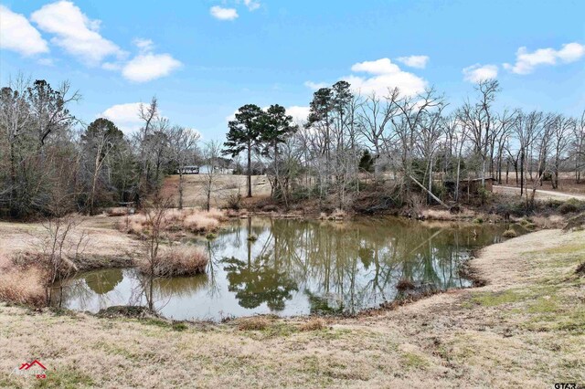 816 Victorian Oaks, Longview, TX 75603 - photo 6
