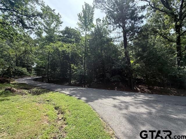 TBD Sleepy Hollow Way, Flint, TX 75762