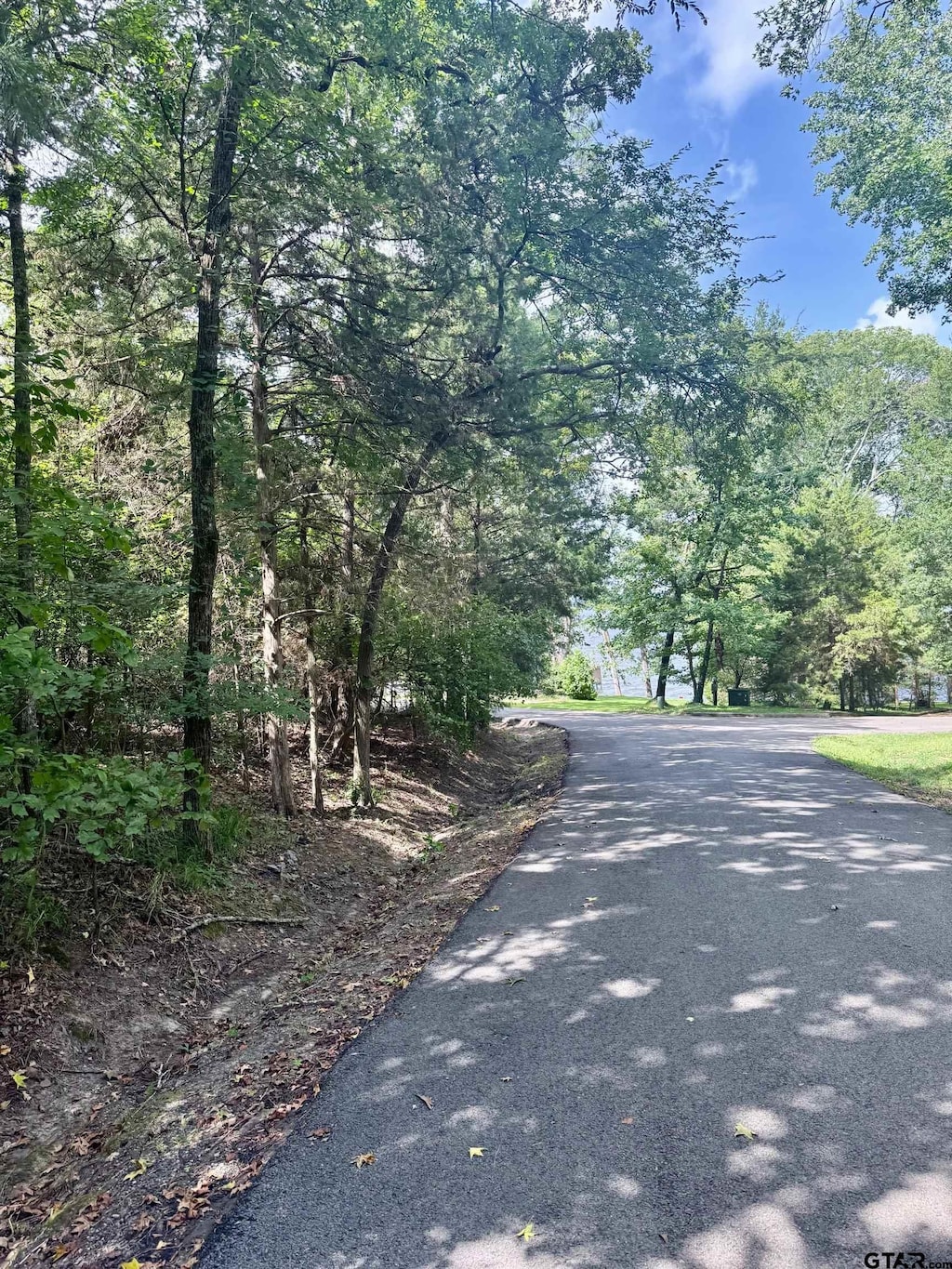 TBD Sleepy Hollow Way, Flint, TX 75762