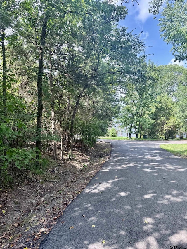 TBD Sleepy Hollow Way, Flint, TX 75762