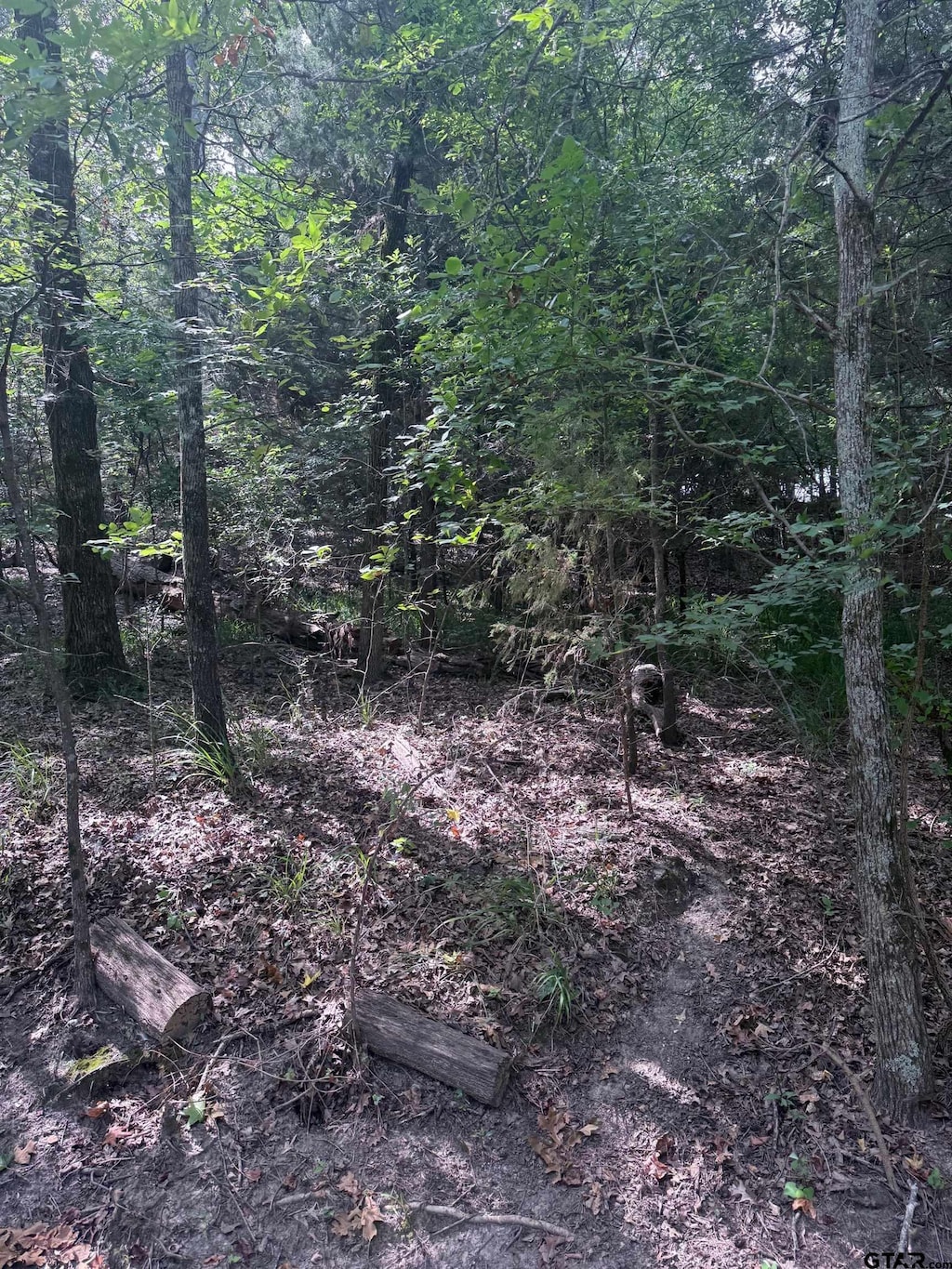 TBD Sleepy Hollow Way, Flint, TX 75762