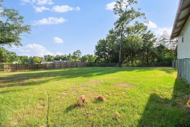 10969 County Rd 152 W, Bullard, TX 75757 - photo 18