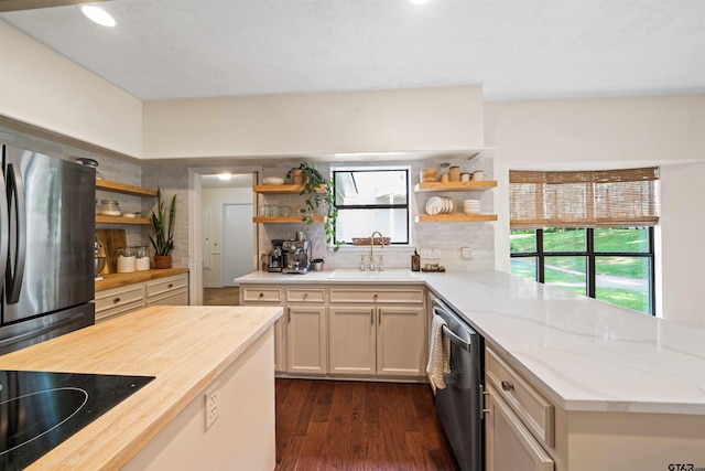 kitchen with butcher block counters, sink, tasteful backsplash, dark hardwood / wood-style flooring, and appliances with stainless steel finishes