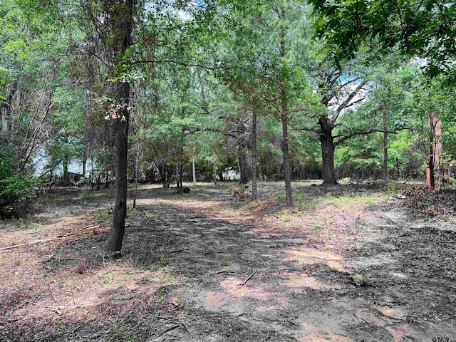 191 Dechard, Rusk TX, 75785 land for sale