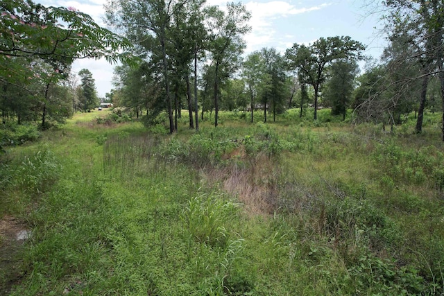 TBD Jones Rd, Elkhart, TX 75839 - photo 17