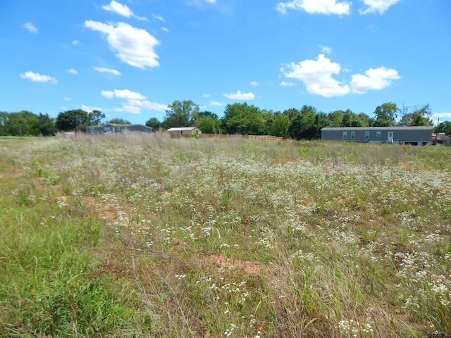 TBD Zela Rd, Gilmer, TX 75644