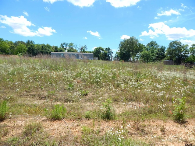 TBD Zela Rd, Gilmer, TX 75644