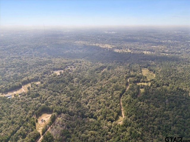 500 Uren Lee Rd, Overton, TX 75684 - photo 23