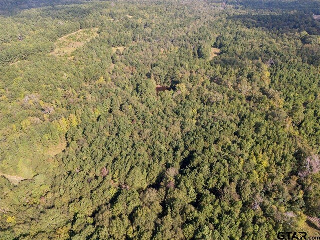 500 Uren Lee Rd, Overton, TX 75684 - photo 24