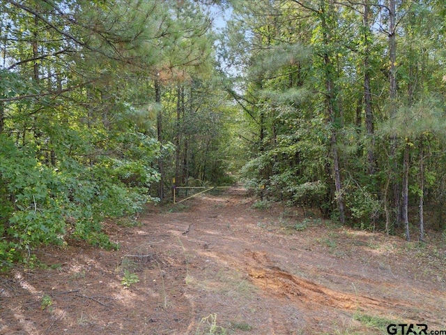 500 Uren Lee Rd, Overton, TX 75684 - photo 19