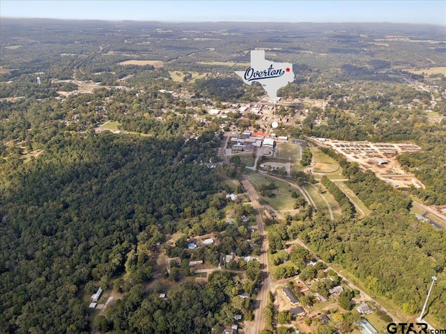 500 Uren Lee Rd, Overton, TX 75684 - photo 22