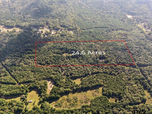 500 Uren Lee Rd, Overton, TX 75684 - photo 4