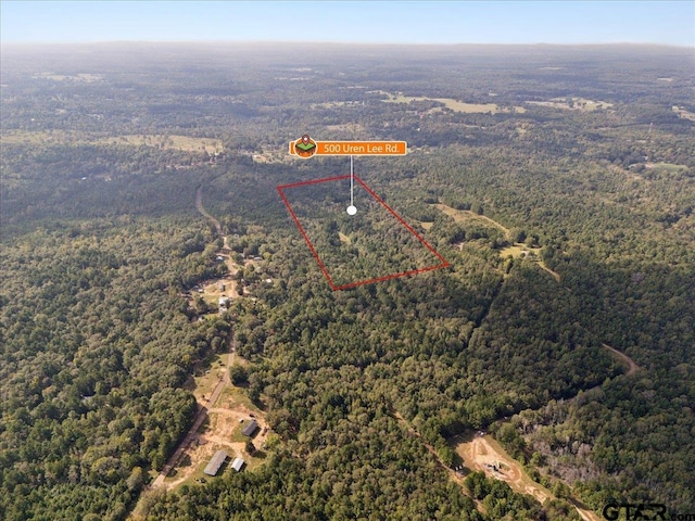 500 Uren Lee Rd, Overton, TX 75684 - photo 28