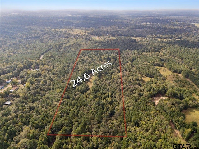500 Uren Lee Rd, Overton, TX 75684 - photo 3