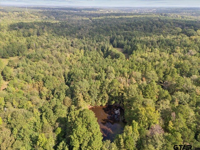 500 Uren Lee Rd, Overton, TX 75684 - photo 25