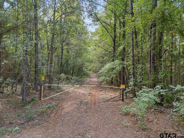 500 Uren Lee Rd, Overton, TX 75684 - photo 21