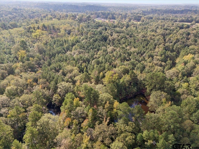 500 Uren Lee Rd, Overton, TX 75684 - photo 17