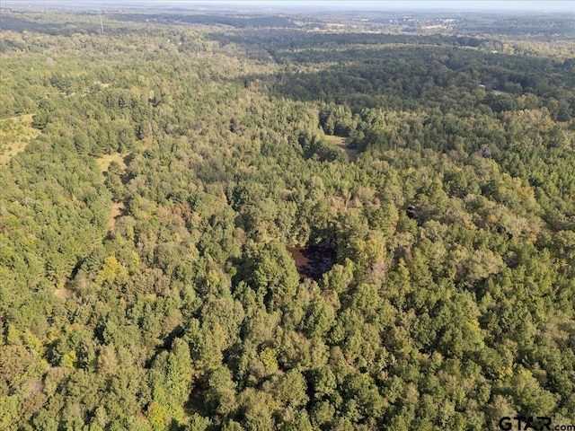 500 Uren Lee Rd, Overton, TX 75684 - photo 14