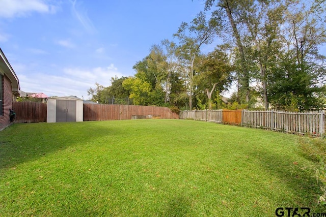 view of yard with a storage shed