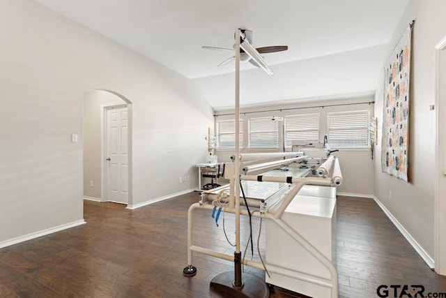 office featuring dark hardwood / wood-style flooring and ceiling fan