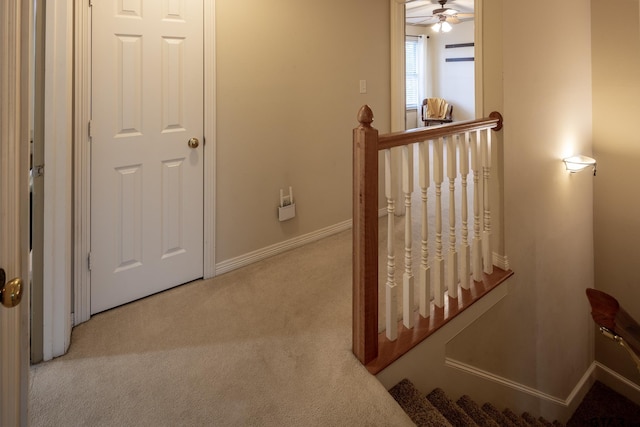 hall featuring light carpet