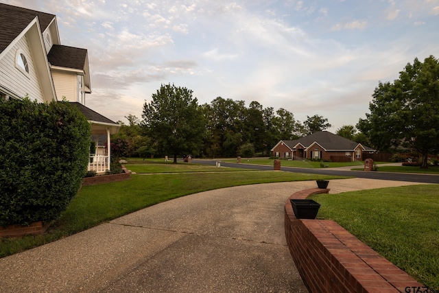 view of community with a lawn