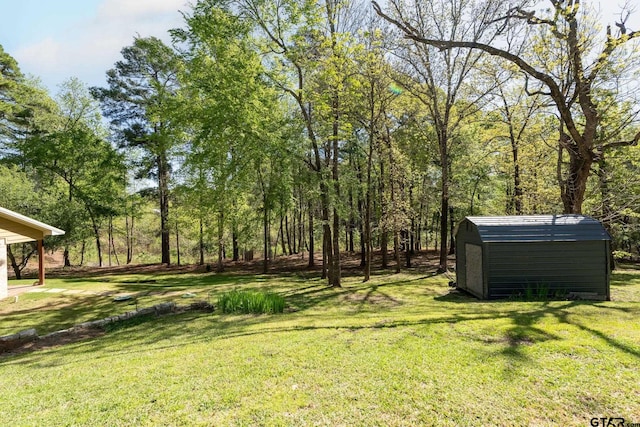 view of yard featuring a shed