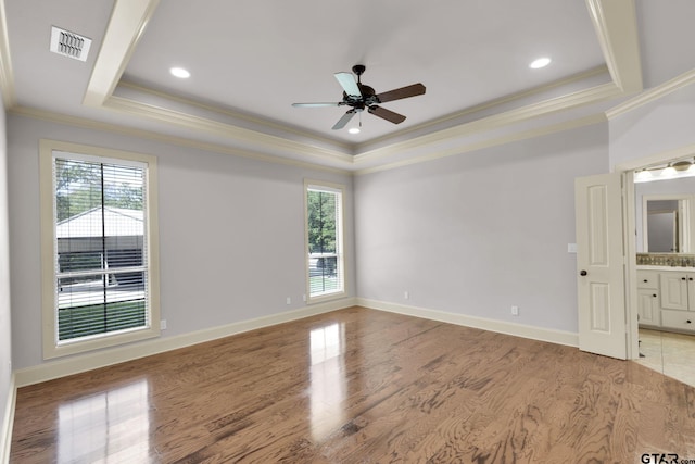 unfurnished room featuring a healthy amount of sunlight, a raised ceiling, and light wood-type flooring