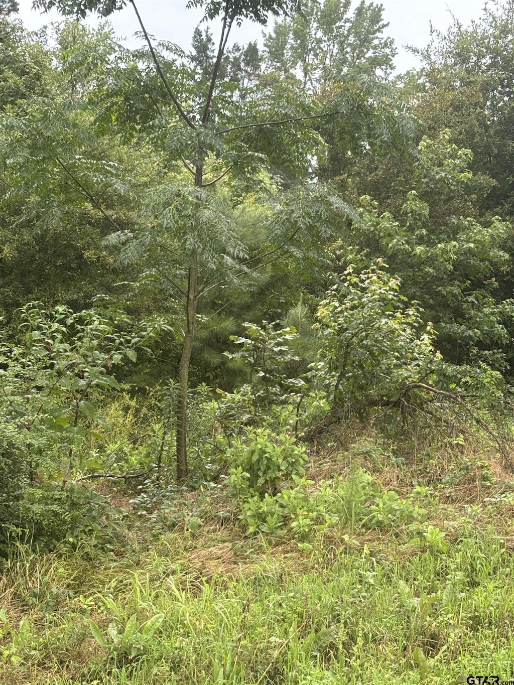 TBD Highway 11, Pittsburg, TX 75686