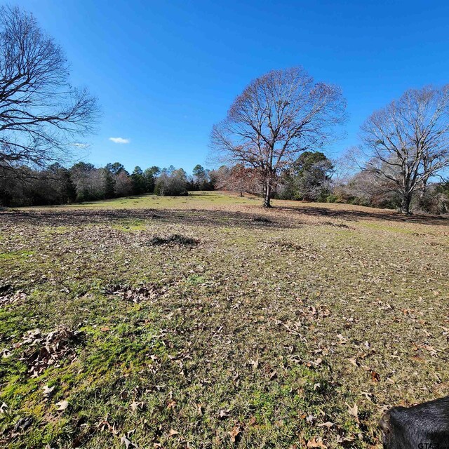 214 County Road 4413, Jacksonville, TX 75766 - photo 10