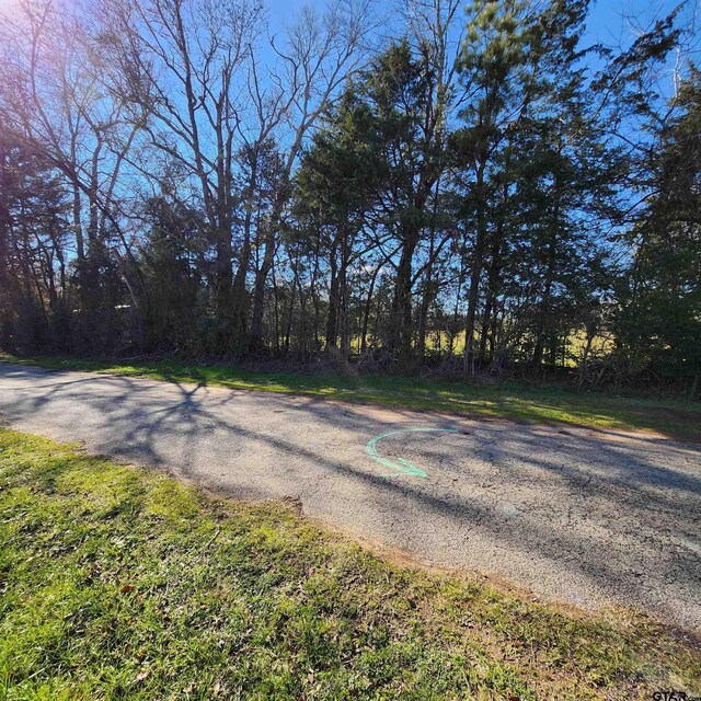 214 County Road 4413, Jacksonville, TX 75766 - photo 20