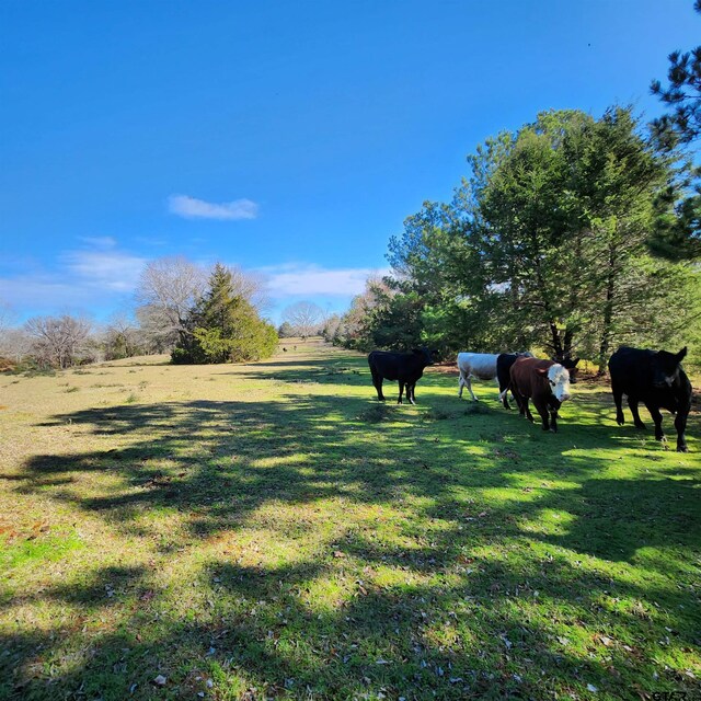 214 County Road 4413, Jacksonville, TX 75766 - photo 11