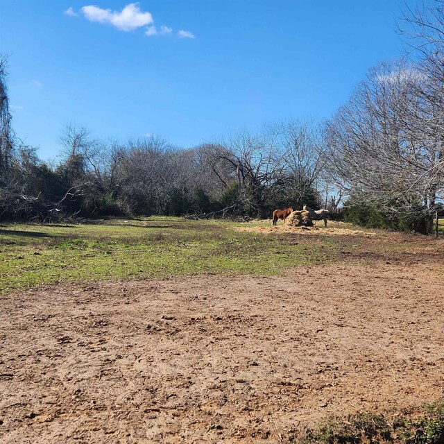 214 County Road 4413, Jacksonville, TX 75766 - photo 18