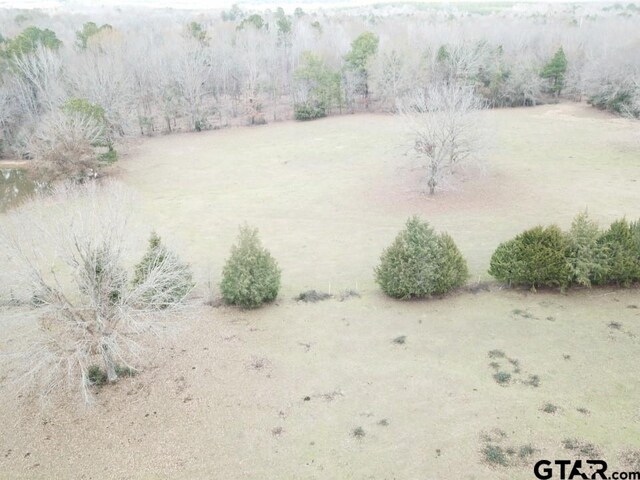 214 County Road 4413, Jacksonville, TX 75766 - photo 29