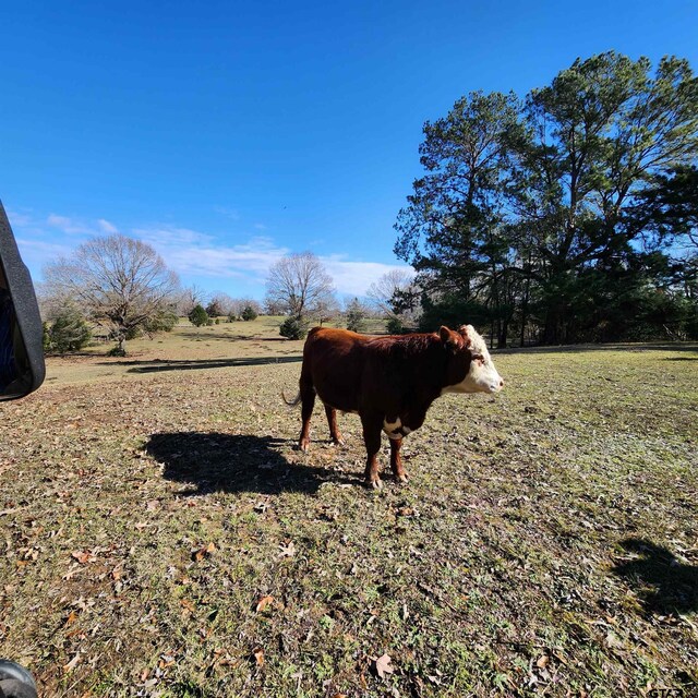214 County Road 4413, Jacksonville, TX 75766 - photo 14