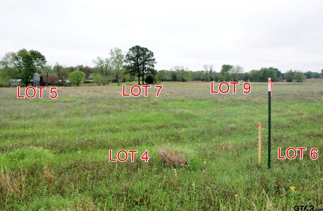 LOT9 County Road 4286, Winnsboro, TX 75494