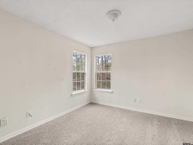 221 Butternut Gln, Holly Lake Ranch, TX 75765 - photo 22