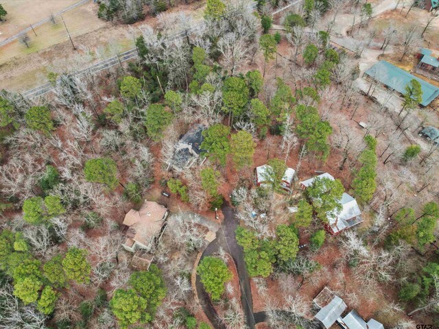 221 Butternut Gln, Holly Lake Ranch, TX 75765 - photo 24