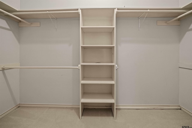 walk in closet with carpet floors