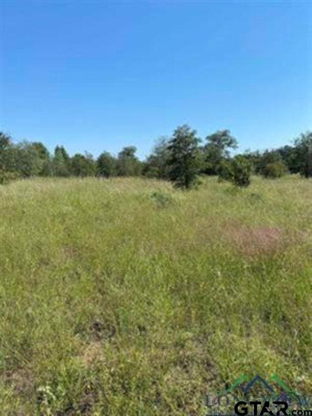 TBD County Road 1242, Linden TX, 75563 land for sale