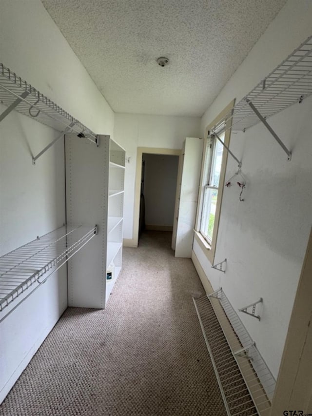 spacious closet featuring carpet flooring