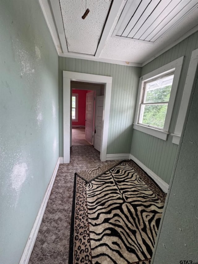 hallway featuring wooden walls, carpet floors, baseboards, and a wealth of natural light