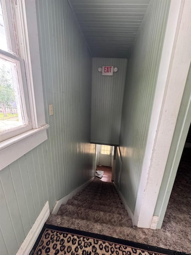 stairs with carpet