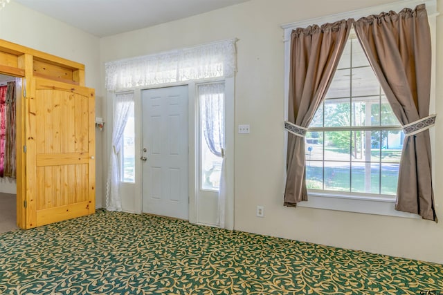 foyer entrance with a wealth of natural light