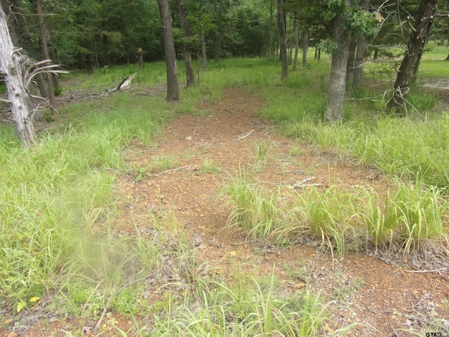 944 Whipporwill, Murchison, TX 75778