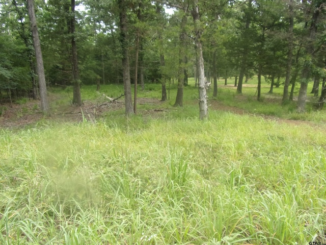 944 Whipporwill, Murchison, TX 75778