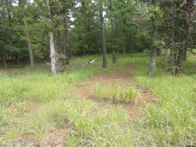 944 Whipporwill, Murchison, TX 75778