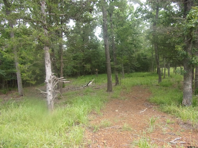 944 Whipporwill, Murchison, TX 75778