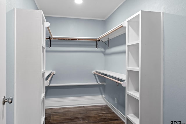 walk in closet with dark wood-type flooring